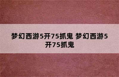 梦幻西游5开75抓鬼 梦幻西游5开75抓鬼